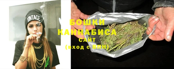 гидропоника Дмитриев
